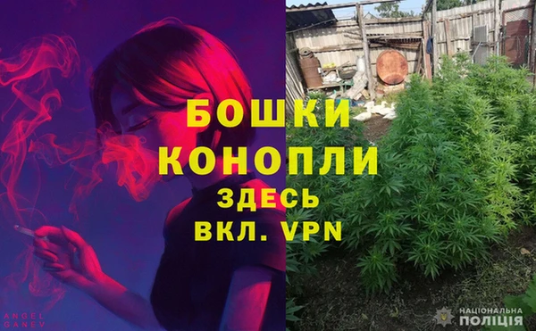 гашик Аркадак