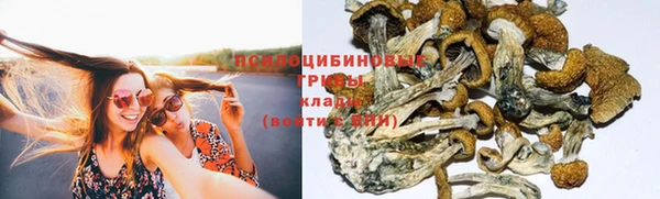 ешки Арсеньев