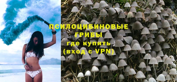 марки lsd Пересвет