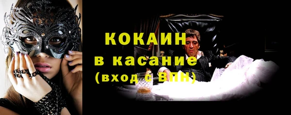 индика Армянск