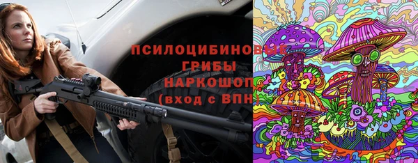 ешки Арсеньев