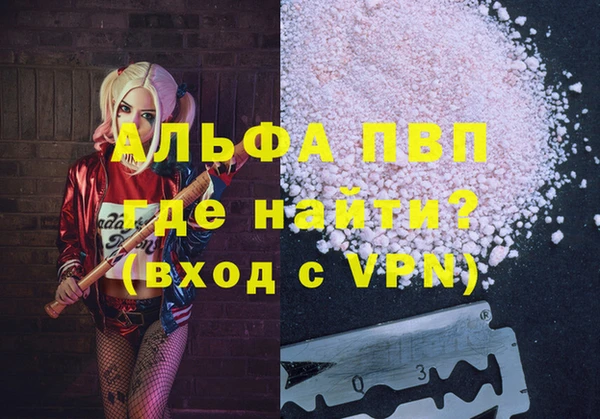 индика Армянск