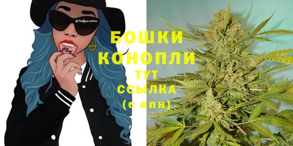 ешки Арсеньев