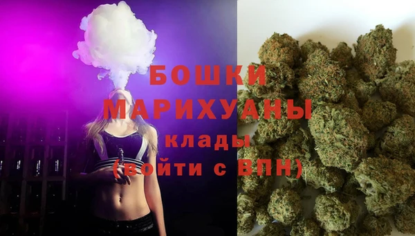 ешки Арсеньев