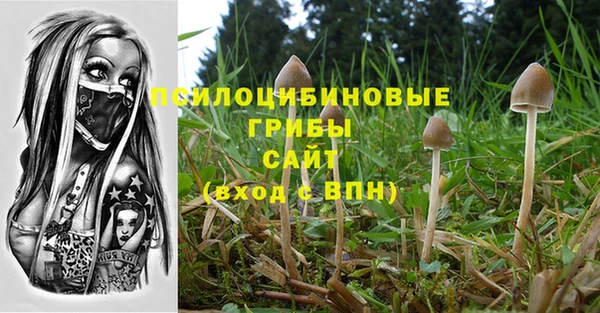 ешки Арсеньев