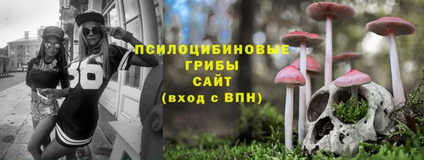 гашик Аркадак