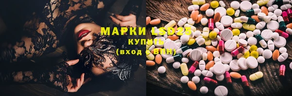 индика Армянск
