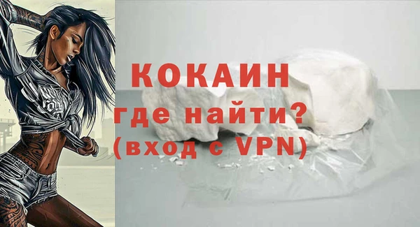 гашик Аркадак