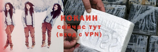 гашик Аркадак