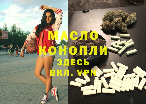 индика Армянск