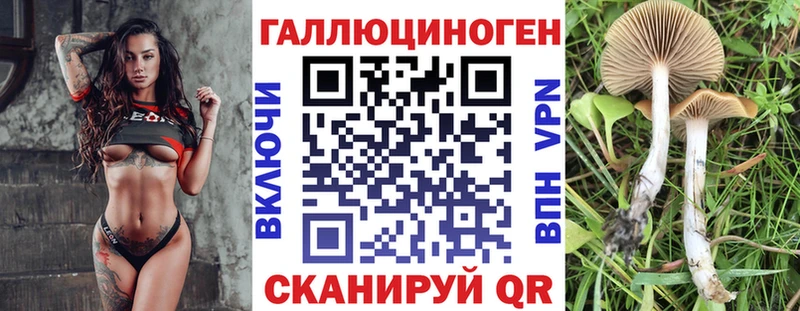 mega сайт  наркошоп  Оленегорск  Псилоцибиновые грибы MAGIC MUSHROOMS 